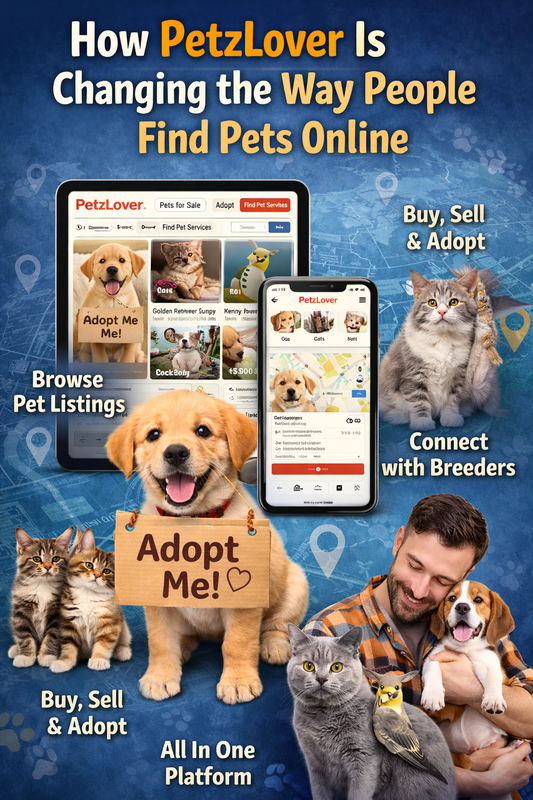 Chatgpt image mar 10  2026  12 43 53 pm