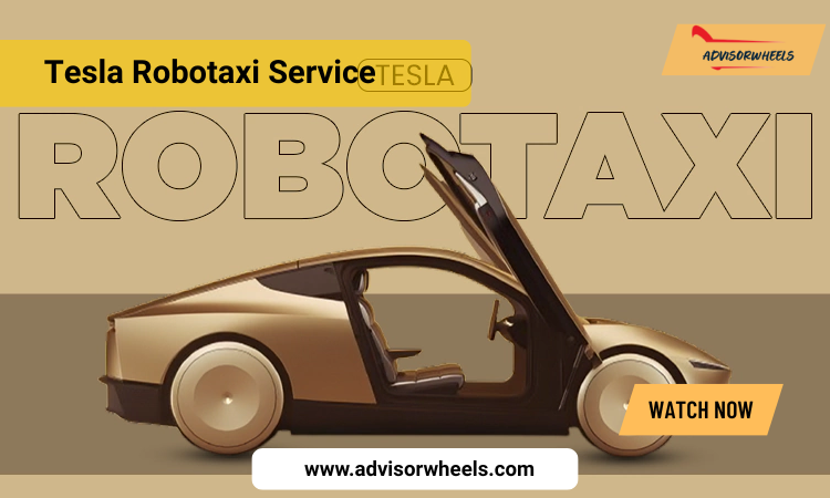 Tesla robotaxi service
