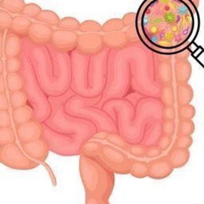 Gut Microbiome Test and the Future of Personalized